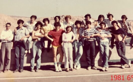 1981